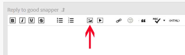 insert image.jpg